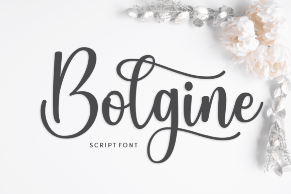 Bolgine Font Review: A Web Designer's Look at Elegant Script