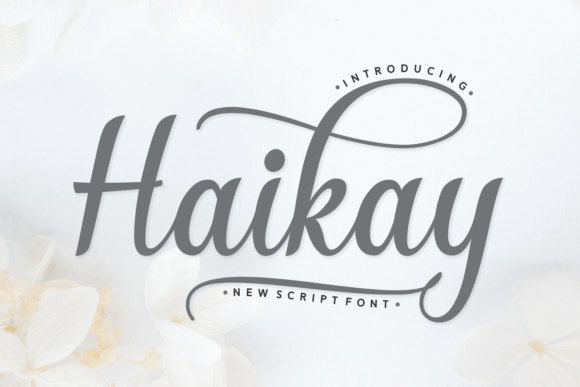 Haikay Font: A Script Typeface for Handmade Labels, Cards, and Shop Branding