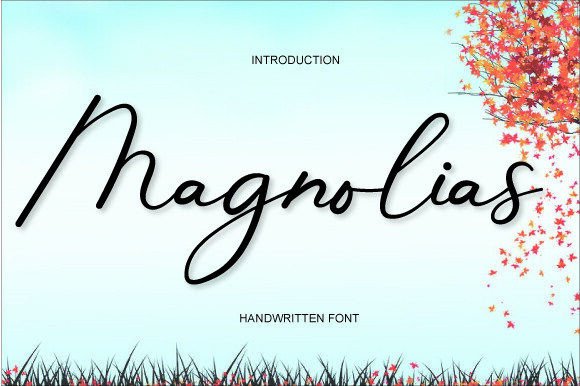 Magnolias: A Designer's Honest Review