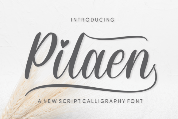 Pilaen Script Font Review: A Graceful Calligraphy Typeface for Romance-Focused Branding