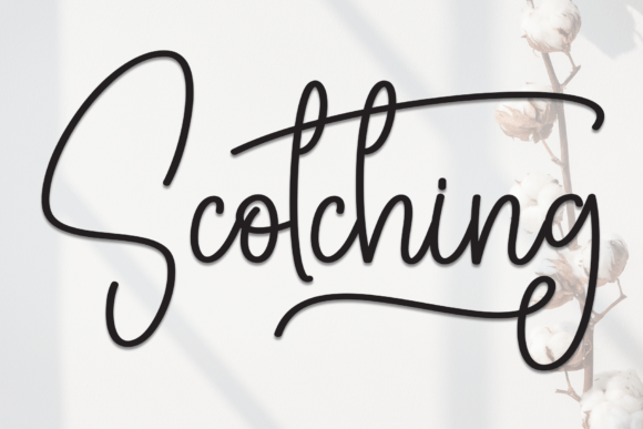 Scotching Font: A Web Designer’s Perspective on Script Typography