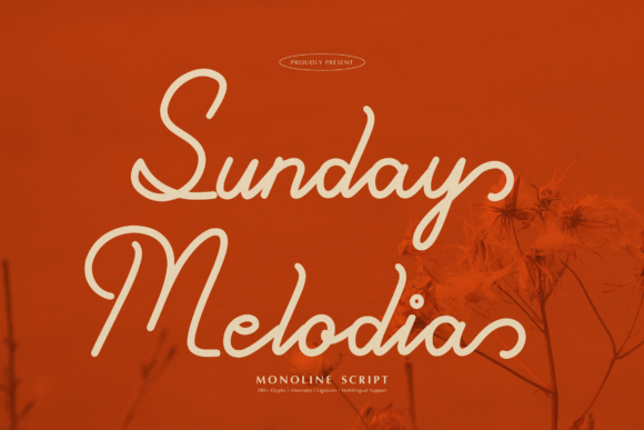 Why Sunday Melodia is the Script Font Your Campaigns Need